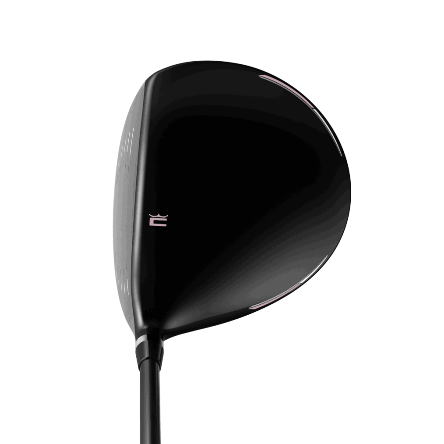 ramsey_driver_elderberry_address.-x1024 COBRA Fly XL Golf Set - LADIES